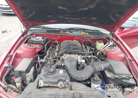 2006 Ford Mustang Gt z USA, uszkodzony, nr VIN 1ZVHT82H065161288